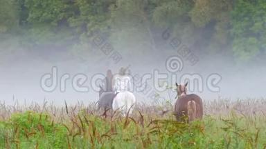 2.两个小姑娘骑马走进雾中，第三匹棕色的马跟在后面